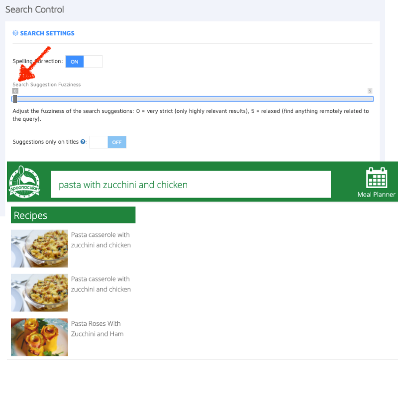 Spoonacular Fuzziness settings Site Search 360 stricter
